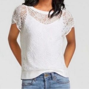 Cabi White Sienna Sheer Lace Short Sleeve Blouse Size S #5342